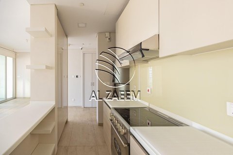 阿联酋 Abu Dhabi Al Reem Island 待租 : 3 卧, 214 平方米 , 编号616016 - 照片 12