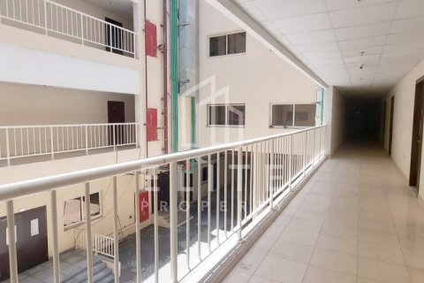 Staff Accommodation in Jebel Ali, Dubai, UAE 7061 sq.m. № 620311 - photo 2