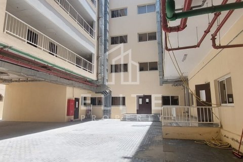 Staff Accommodation in Jebel Ali, Dubai, UAE 7061 sq.m. № 620311 - photo 29