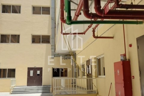 Staff Accommodation in Jebel Ali, Dubai, UAE 7061 sq.m. № 620311 - photo 30