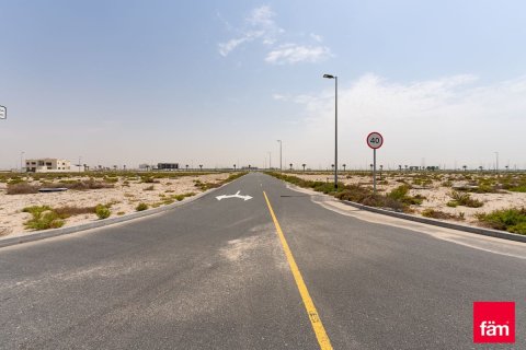 Tanah di Jebel Ali, Dubai, UEA 915 m2 nomor 701216 - foto 3
