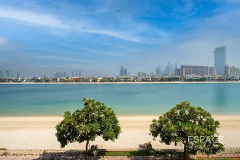 Vila di Palm Jumeirah, Dubai, UEA 6 kamar tidur, 650 m2 nomor 649788 - foto 20