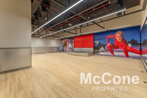 Obchod v Dubai, SAE 297.01 m² Č.: 586799 - fotografie 2