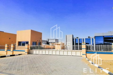 Warehouse in Dubai, UAE 8288 sq.m. № 620207 - photo 2