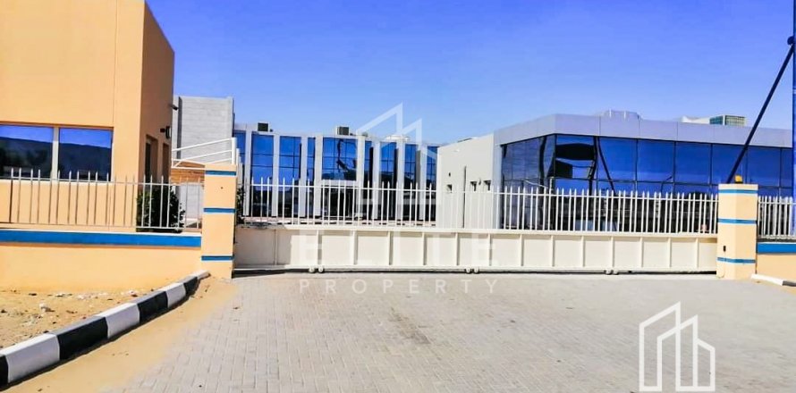 Warehouse in Dubai, UAE 8288 sq.m. № 620207