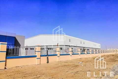 Warehouse in Dubai, UAE 8288 sq.m. № 620207 - photo 3