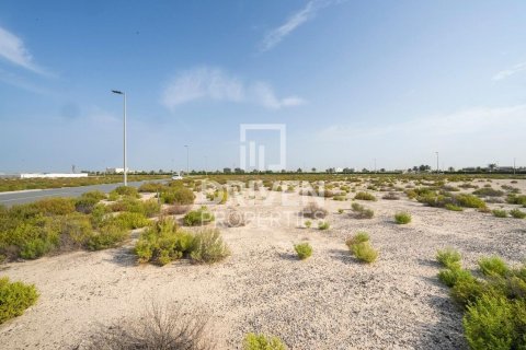 Tokë në Jebel Ali, Dubai, Emiratet e Bashkuara Arabe 1013.67 m2. № 742175 - Foto 4