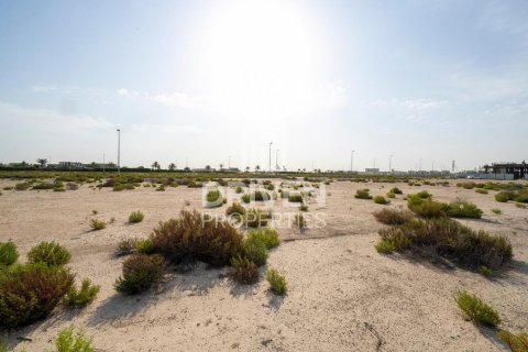 Tokë në Jebel Ali, Dubai, Emiratet e Bashkuara Arabe 1013.67 m2. № 742175 - Foto 8