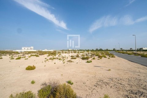 Tokë në Jebel Ali, Dubai, Emiratet e Bashkuara Arabe 1013.67 m2. № 742175 - Foto 9