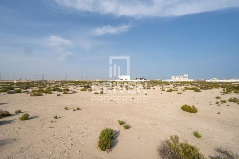 Tokë në Jebel Ali, Dubai, Emiratet e Bashkuara Arabe 1013.67 m2. № 742175 - Foto 10
