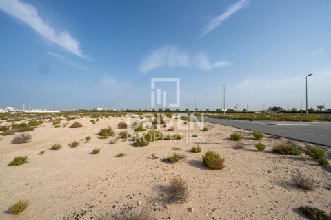 Tokë në Jebel Ali, Dubai, Emiratet e Bashkuara Arabe 1013.67 m2. № 742175 - Foto 6