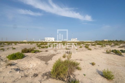 Tokë në Jebel Ali, Dubai, Emiratet e Bashkuara Arabe 1013.67 m2. № 742175 - Foto 5