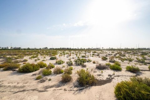 Pozemok v Jebel Ali, Dubai, SAE 1013.67 m2 č. 742175
