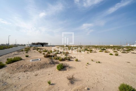 Tokë në Jebel Ali, Dubai, Emiratet e Bashkuara Arabe 1013.67 m2. № 742175 - Foto 7