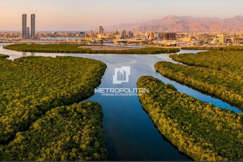 Appartamento in vendita a Mina Al Arab, Ras Al Khaimah, EAU 43 mq. № 718316 - foto 3