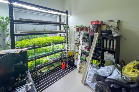 Villetta a schiera in vendita a Dubai Land, Dubai, EAU 4 camere da letto, 207 mq. № 626014 - foto 8