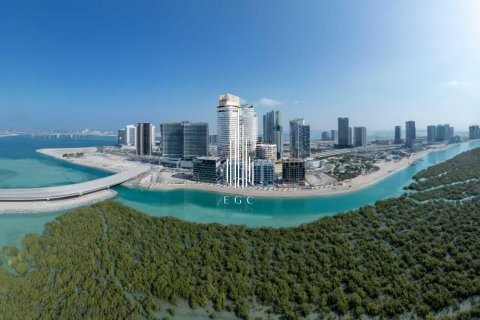 Dvoupatrový byt v Al Reem Island, Abu Dhabi, SAE 3 ložnice, 247.8 m² Č.: 547181 - fotografie 19