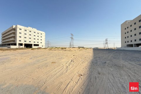 阿联酋 Dubai 待售 : 1858 平方米 , 编号703679 - 照片 24