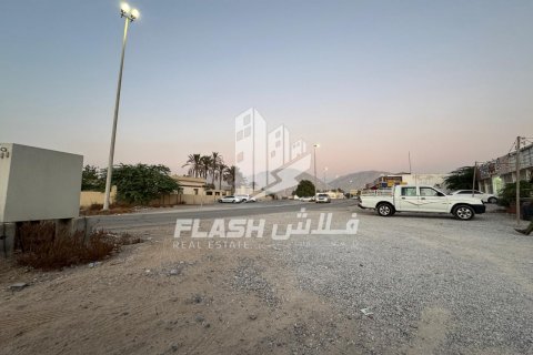 Pozemek v Shamal Julphar, Ras Al Khaimah, SAE 7826.6 m² Č.: 611631 - fotografie 2