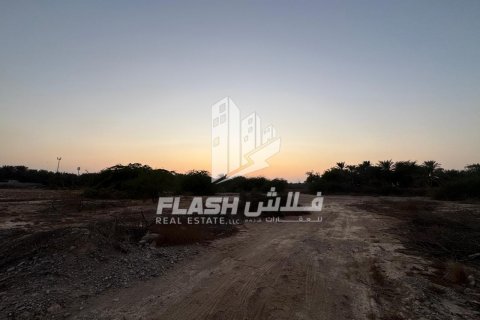 Pozemek v Shamal Julphar, Ras Al Khaimah, SAE 7826.6 m² Č.: 611631 - fotografie 6