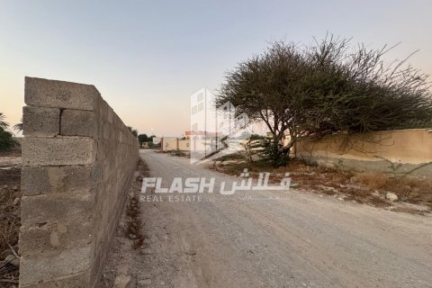 Pozemek v Shamal Julphar, Ras Al Khaimah, SAE 7826.6 m² Č.: 611631 - fotografie 8