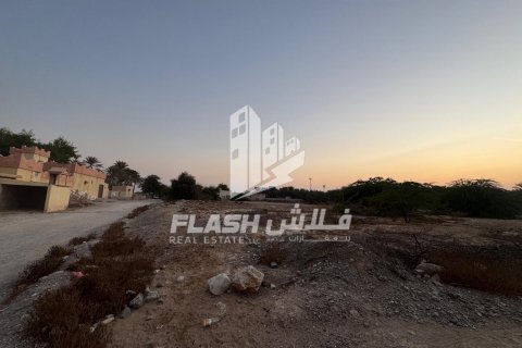 Pozemek v Shamal Julphar, Ras Al Khaimah, SAE 7826.6 m² Č.: 611631 - fotografie 7