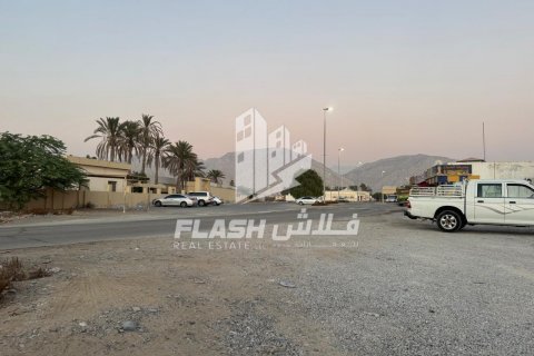 Pozemek v Shamal Julphar, Ras Al Khaimah, SAE 7826.6 m² Č.: 611631 - fotografie 4
