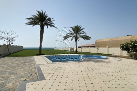 Villa in Marina Village, Abu Dhabi, UAE 7 bedrooms, 2000 sq.m. № 615744 - photo 3
