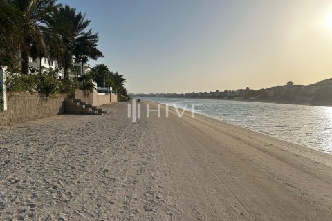 Vila v Palm Jumeirah, Dubai, SAE 4 ložnice, 655.8 m² Č.: 573720 - fotografie 24