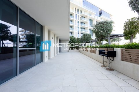 阿联酋 Abu Dhabi Saadiyat Island 待售 : 2 卧, 329.4 平方米 , 编号690592 - 照片 4