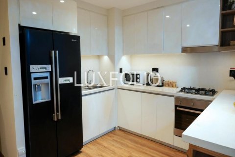 阿联酋 Dubai Downtown Dubai (Downtown Burj Dubai) 待租 : 2 卧, 105 平方米 , 编号628247 - 照片 7