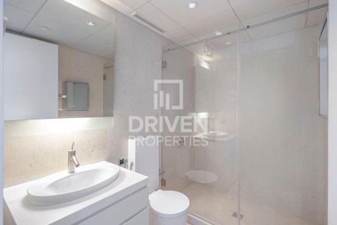 פנטהאוס למכירה ב Downtown Dubai (Downtown Burj Dubai), Dubai, איחוד האמירויות  4 חדרי שינה, 665 מ"ר, מספר 682703 - תמונה 23