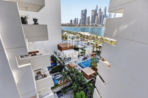 آپارتمان برای فروش در  Palm Jumeirah، Dubai، امارات متحده عربی  3 خوابه ، 257.25 متر مربع ، شماره 743668 - تصویر 2