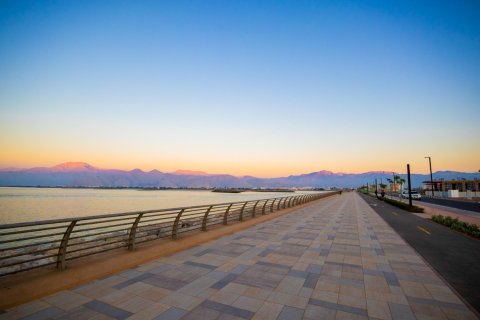 Tontti Al Mairid, Ras Al Khaimah, Arabiemiraatit 753 m2 № 656813 - kuva 9