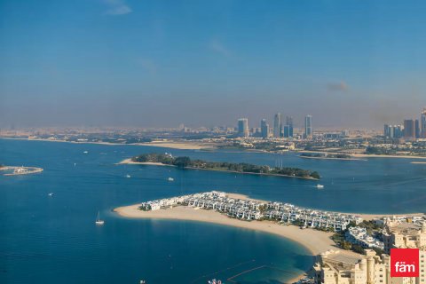 阿联酋 Dubai Palm Jumeirah 待售 : 48.6 平方米 , 编号625004 - 照片 2