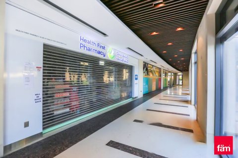 Müüa korter asukohaga Downtown Dubai (Downtown Burj Dubai), AÜE: 2 magamistoaga, 144.9 m² Nr 687484 - pilt 12