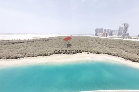 阿联酋 Abu Dhabi Al Reem Island 待租 : 3 卧, 216 平方米 , 编号604560 - 照片 7