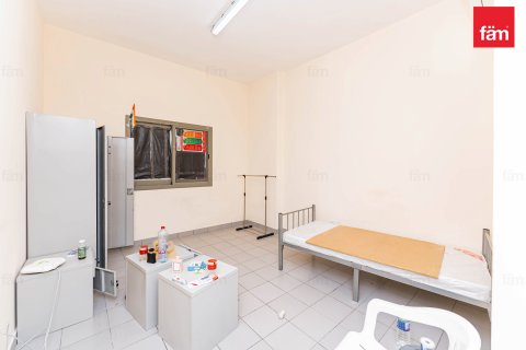 Budova v Dubai, SAE 5388.1 m² Č.: 582729 - fotografie 15