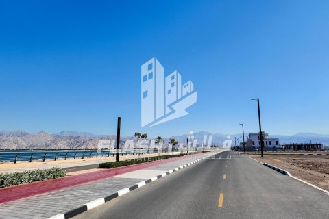 Pozemek v Al Mairid, Ras Al Khaimah, SAE 894.6 m² Č.: 611670 - fotografie 7