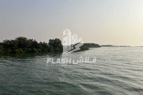 Land in Khor Al Beidah, Umm Al Quwain, UAE 111482.7 sq.m. № 611679 - photo 15