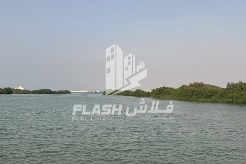 Land in Khor Al Beidah, Umm Al Quwain, UAE 111482.7 sq.m. № 611679 - photo 16