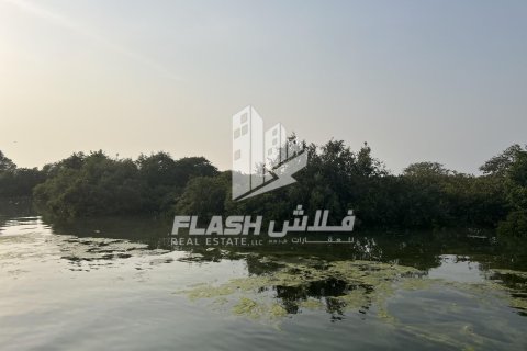 Land in Khor Al Beidah, Umm Al Quwain, UAE 111482.7 sq.m. № 611679 - photo 22