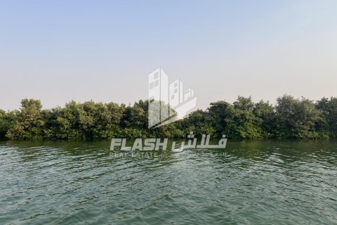 Land in Khor Al Beidah, Umm Al Quwain, UAE 111482.7 sq.m. № 611679 - photo 14
