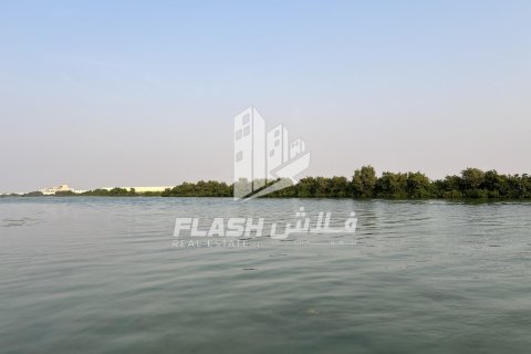 Land in Khor Al Beidah, Umm Al Quwain, UAE 111482.7 sq.m. № 611679 - photo 13