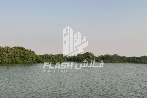 Land in Khor Al Beidah, Umm Al Quwain, UAE 111482.7 sq.m. № 611679 - photo 21