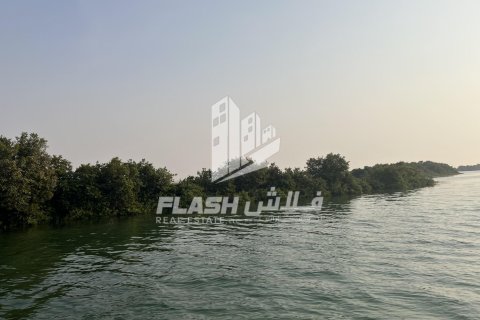 Land in Khor Al Beidah, Umm Al Quwain, UAE 111482.7 sq.m. № 611679 - photo 5