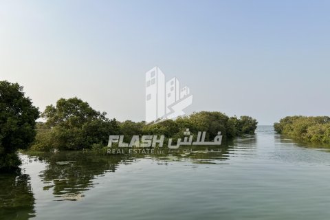 Land in Khor Al Beidah, Umm Al Quwain, UAE 111482.7 sq.m. № 611679 - photo 24