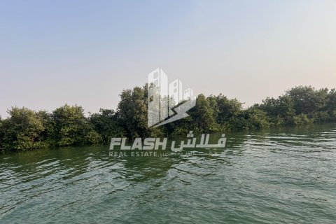 Land in Khor Al Beidah, Umm Al Quwain, UAE 111482.7 sq.m. № 611679 - photo 6