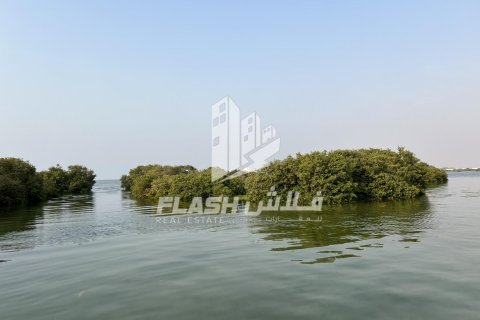 Land in Khor Al Beidah, Umm Al Quwain, UAE 111482.7 sq.m. № 611679 - photo 12