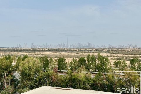 Villa zur Miete in Al Barari, Dubai, VAE 5 Schlafzimmer, 1275 m2 Nr. 646367 - Foto 27